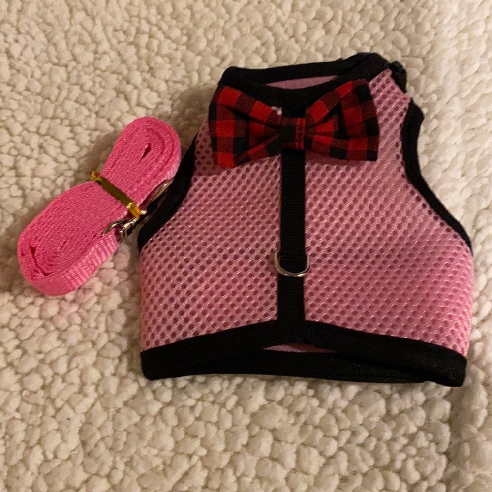 Puppy vest with Leash XXS/XS